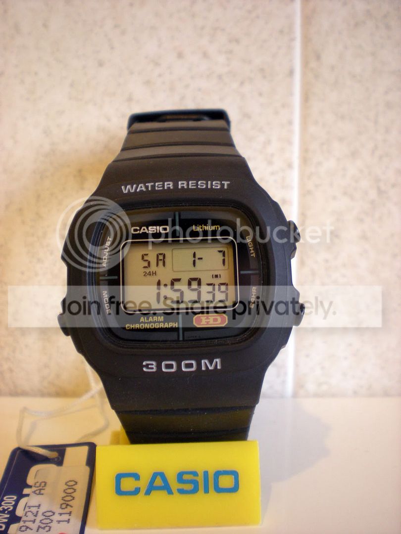casio dw 300
